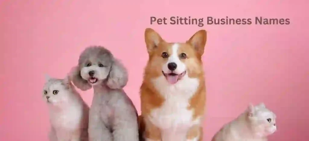 Pet Sitting Business Names