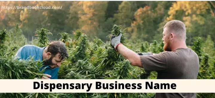 Cannabis Business Name Ideas